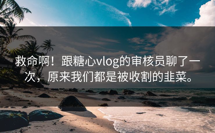 救命啊！跟糖心vlog的审核员聊了一次，原来我们都是被收割的韭菜。