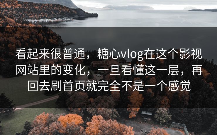 看起来很普通，糖心vlog在这个影视网站里的变化，一旦看懂这一层，再回去刷首页就完全不是一个感觉