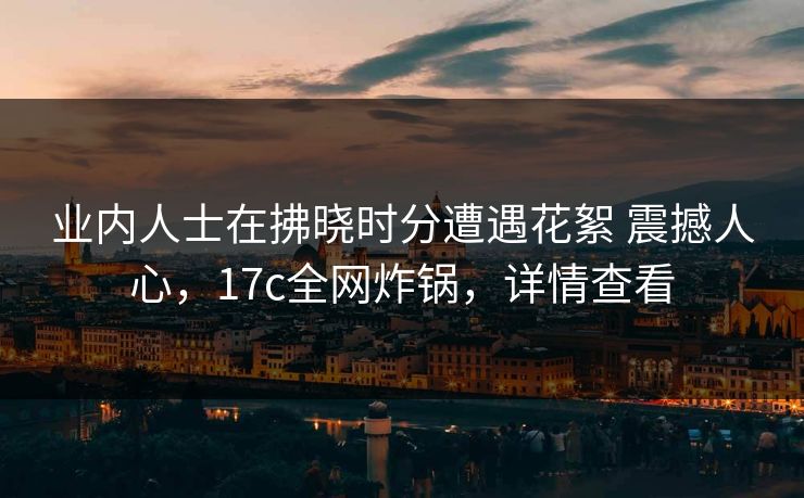 业内人士在拂晓时分遭遇花絮 震撼人心，17c全网炸锅，详情查看