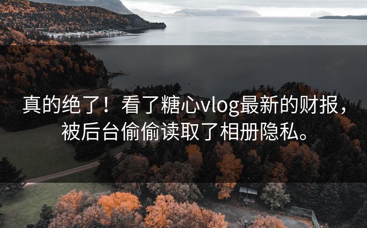真的绝了！看了糖心vlog最新的财报，被后台偷偷读取了相册隐私。